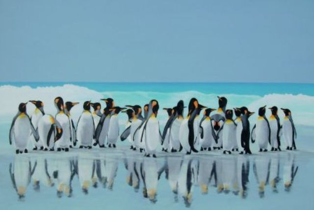 hier sollte eines meiner Bilder zu sehen sein